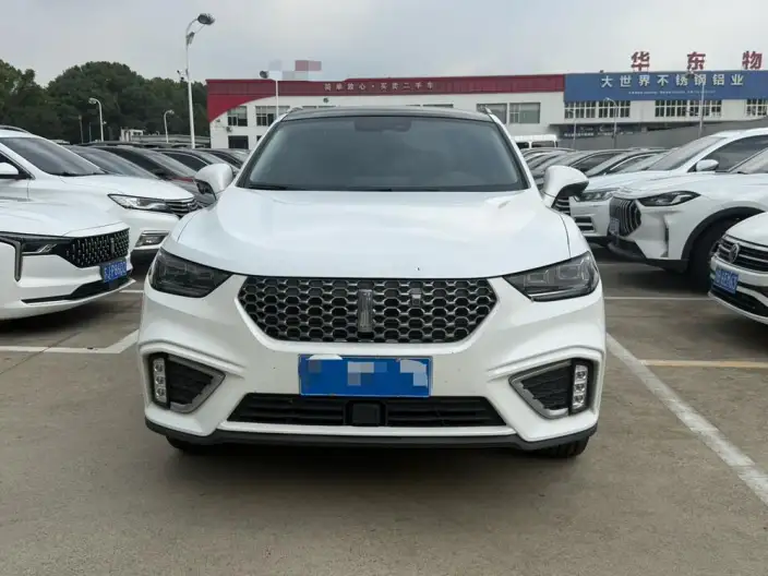 WEY VV5 2021 Model 1.5T Smart Pioneer – фото 2