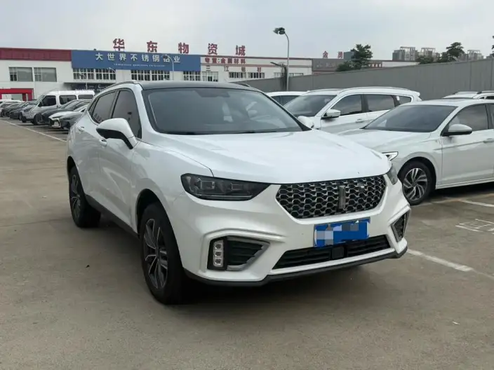 WEY VV5 2021 Model 1.5T Smart Pioneer – фото 3