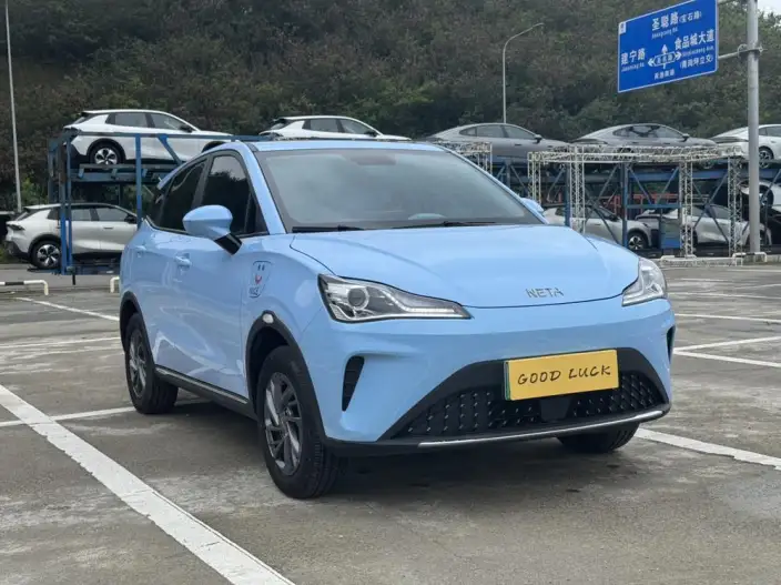 Neta AYA 2023 Model 318 Lite