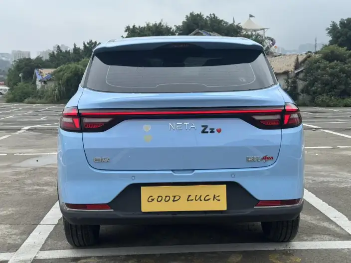 Neta AYA 2023 Model 318 Lite – фото 5