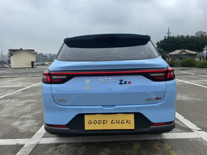 Neta AYA 2023 Model 318 Lite – фото 8
