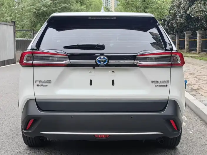 Toyota Wildlander 2021 Model Hybrid 2.5L 4WD Deluxe Edition – фото 6