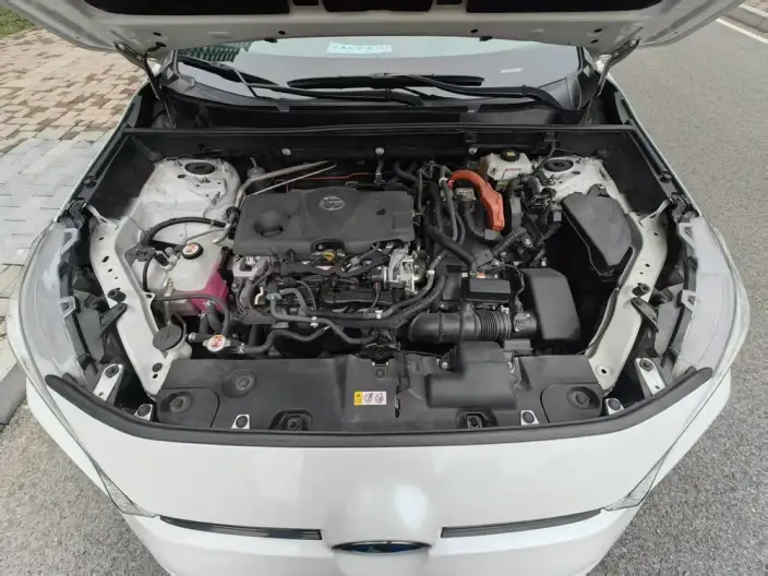 Toyota Wildlander 2021 Model Hybrid 2.5L 4WD Deluxe Edition – фото 9