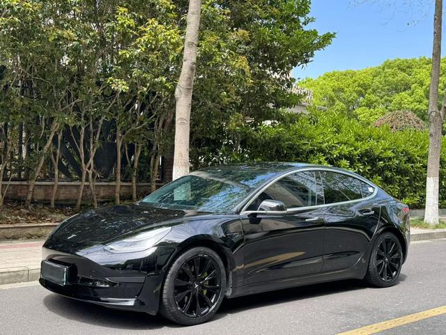 Tesla Model 3 2020 Standard Range RWD Upgraded – фото 1