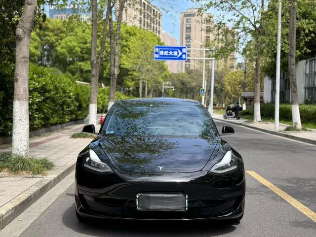 Tesla Model 3 2020 Standard Range RWD Upgraded – фото 2