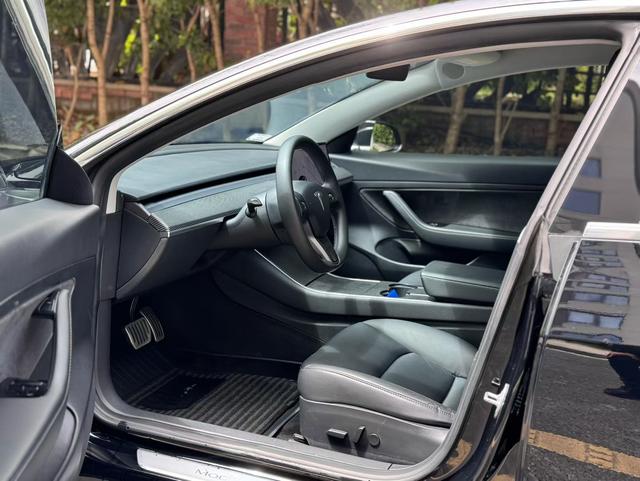 Tesla Model 3 2020 Standard Range RWD Upgraded – фото 3