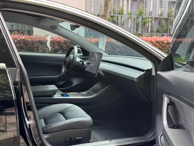 Tesla Model 3 2020 Standard Range RWD Upgraded – фото 6