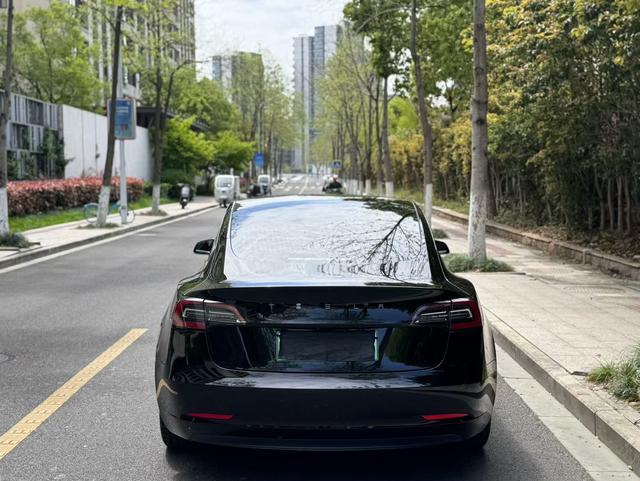 Tesla Model 3 2020 Standard Range RWD Upgraded – фото 9