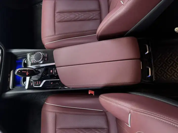 BMW 5 Series 2021 Model 525Li Luxury Set – фото 4