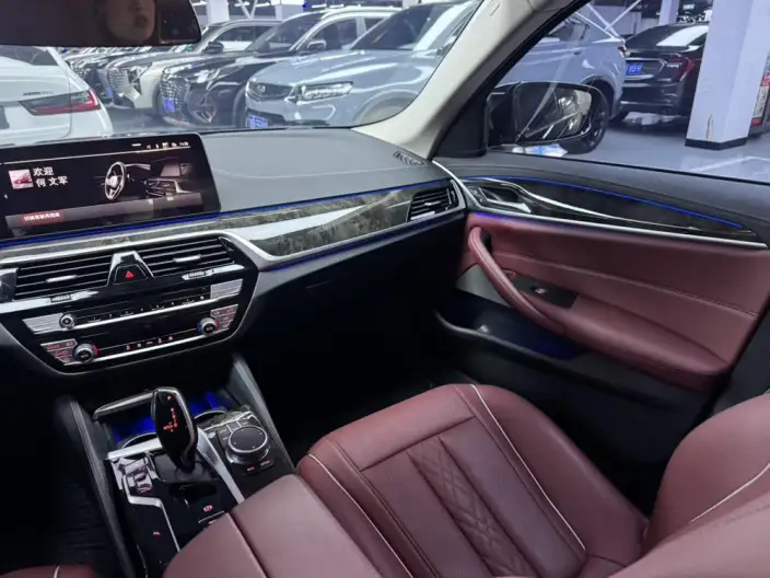 BMW 5 Series 2021 Model 525Li Luxury Set – фото 8