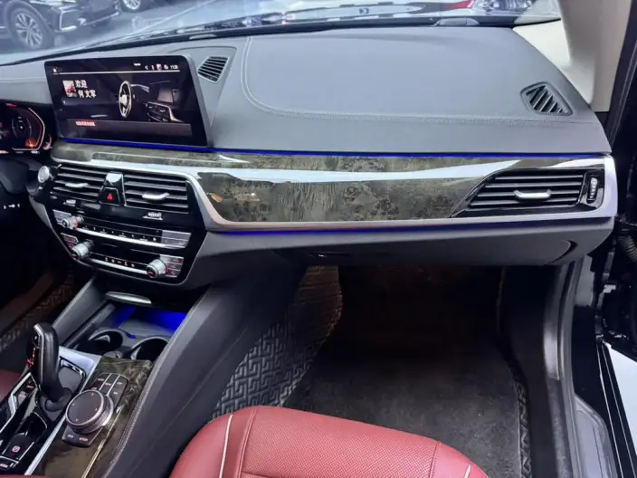 BMW 5 Series 2021 Model 525Li Luxury Set – фото 10