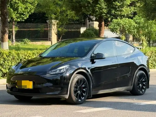 Model Y 2022 Model Rear-wheel drive version – фото 1