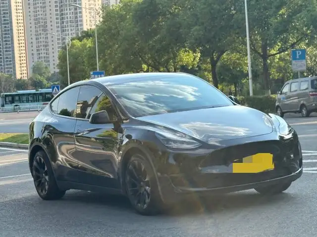 Model Y 2022 Model Rear-wheel drive version – фото 3