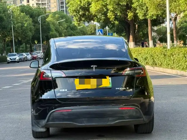 Model Y 2022 Model Rear-wheel drive version – фото 5