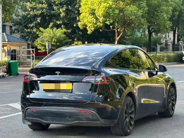 Model Y 2022 Model Rear-wheel drive version – фото 6