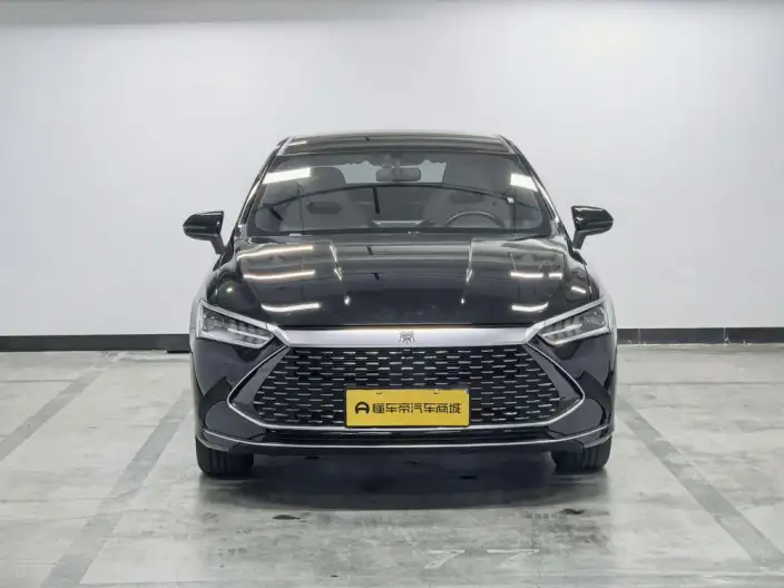BYD Qin PLUS DM 2024 Model Honor Edition DM-i 55KM Leading Model – фото 2
