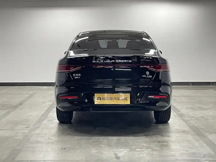 BYD Qin PLUS DM 2024 Model Honor Edition DM-i 55KM Leading Model – фото 6