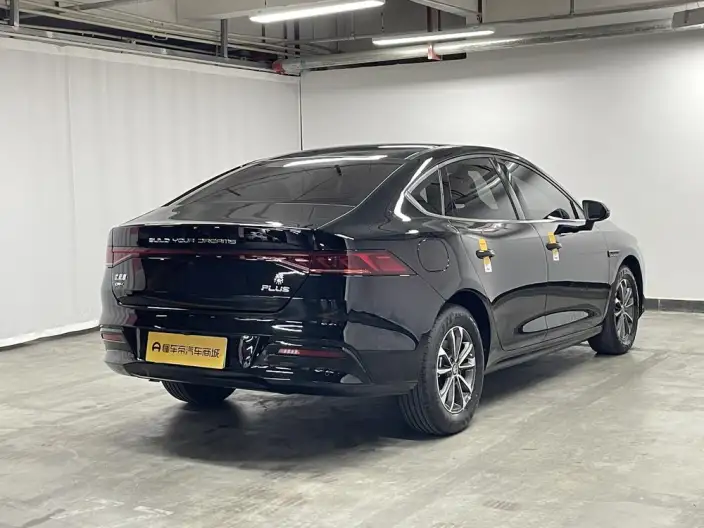 BYD Qin PLUS DM 2024 Model Honor Edition DM-i 55KM Leading Model – фото 7