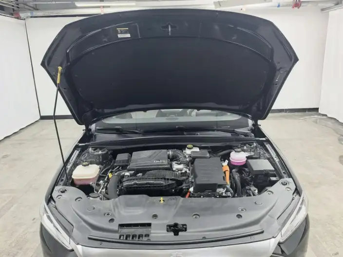 BYD Qin PLUS DM 2024 Model Honor Edition DM-i 55KM Leading Model – фото 10