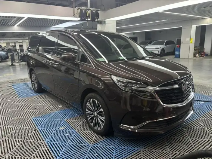 Buick GL8 2020 Model ES Luzun 653T Luxury Model – фото 2
