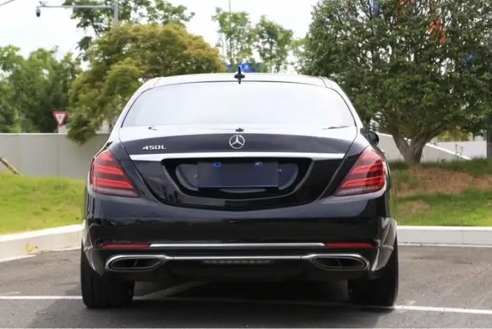Mercedes-Benz S-Class 2020 Model S 350 L Exclusive Model Collector Edition – фото 5