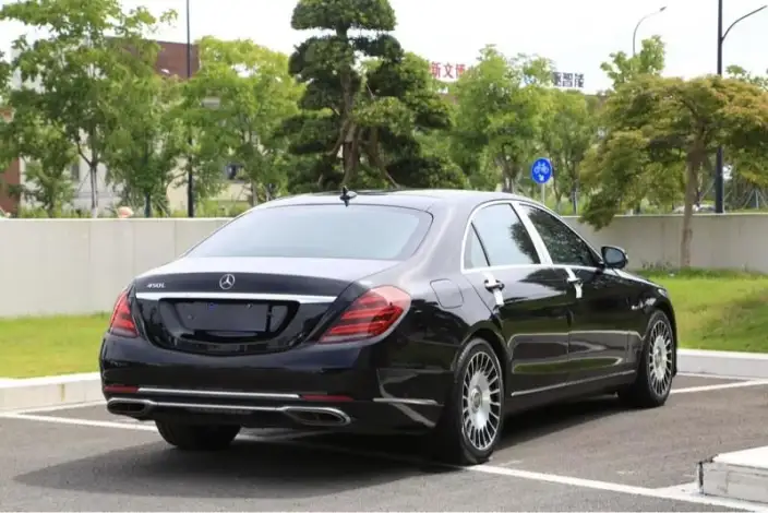 Mercedes-Benz S-Class 2020 Model S 350 L Exclusive Model Collector Edition – фото 6