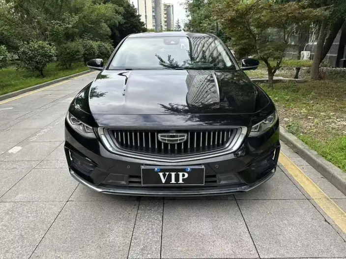 Geely StarRui 2020 Model 2.0T Noble Model – фото 2
