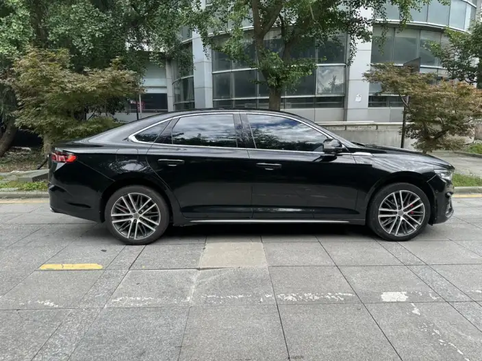 Geely StarRui 2020 Model 2.0T Noble Model – фото 7