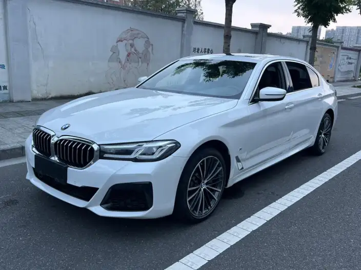 BMW 5 Series 2021 Model 530Li Leading Model M Sports Set – фото 1