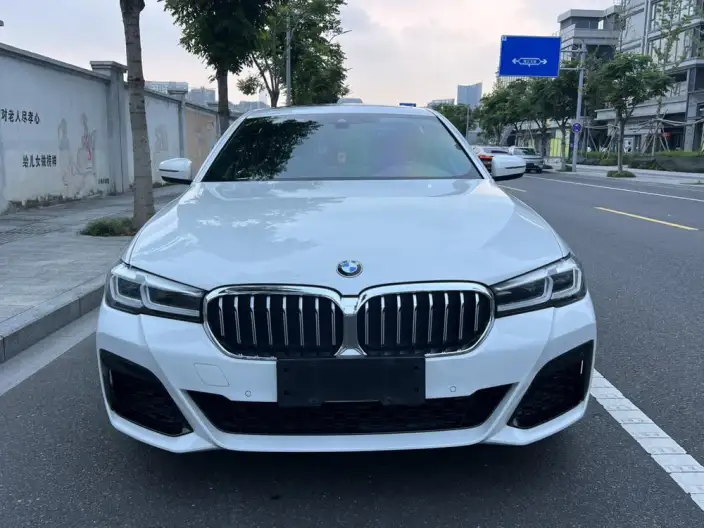 BMW 5 Series 2021 Model 530Li Leading Model M Sports Set – фото 2