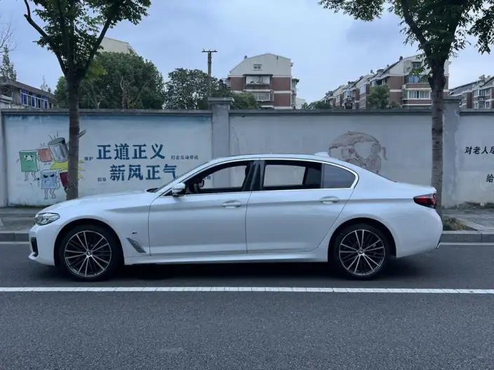 BMW 5 Series 2021 Model 530Li Leading Model M Sports Set – фото 4