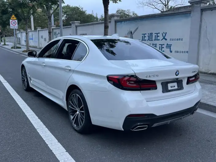 BMW 5 Series 2021 Model 530Li Leading Model M Sports Set – фото 5
