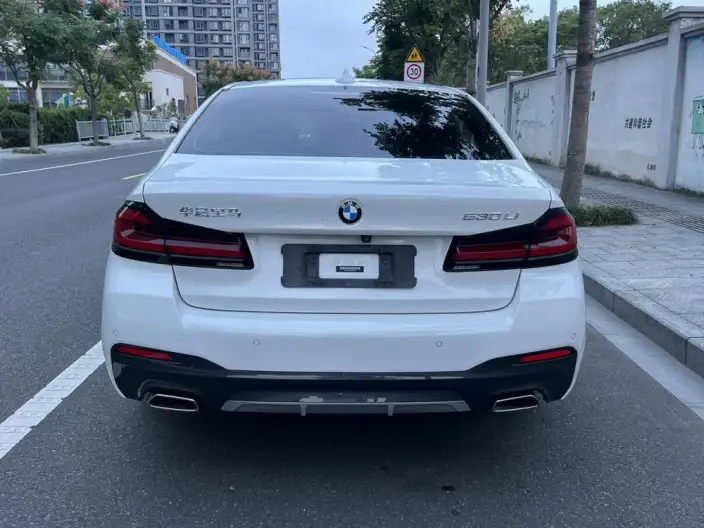 BMW 5 Series 2021 Model 530Li Leading Model M Sports Set – фото 6
