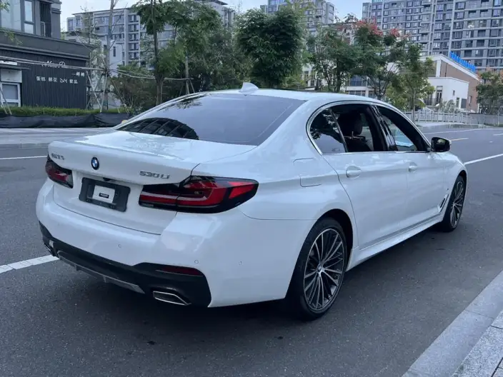 BMW 5 Series 2021 Model 530Li Leading Model M Sports Set – фото 7