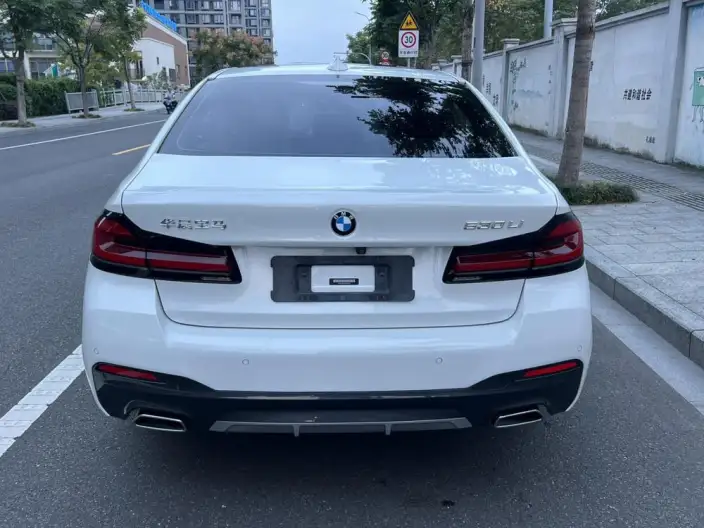 BMW 5 Series 2021 Model 530Li Leading Model M Sports Set – фото 9