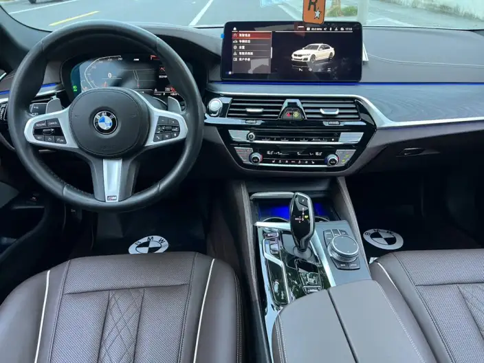 BMW 5 Series 2021 Model 530Li Leading Model M Sports Set – фото 10