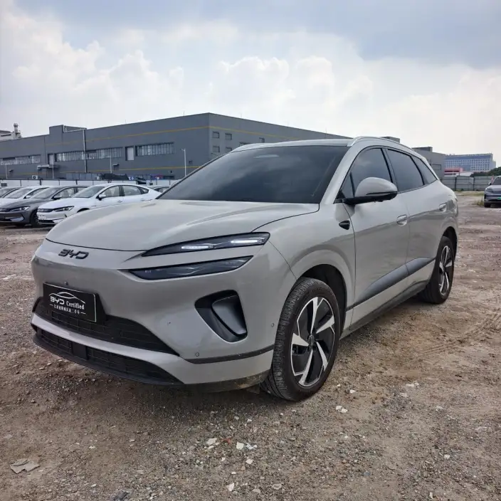 Sea Lion 06DM 2025 Model DM-i 205KM Pilot Pro Edition – фото 1