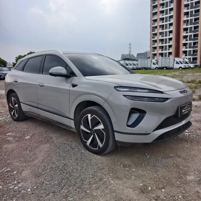 Sea Lion 06DM 2025 Model DM-i 205KM Pilot Pro Edition – фото 3