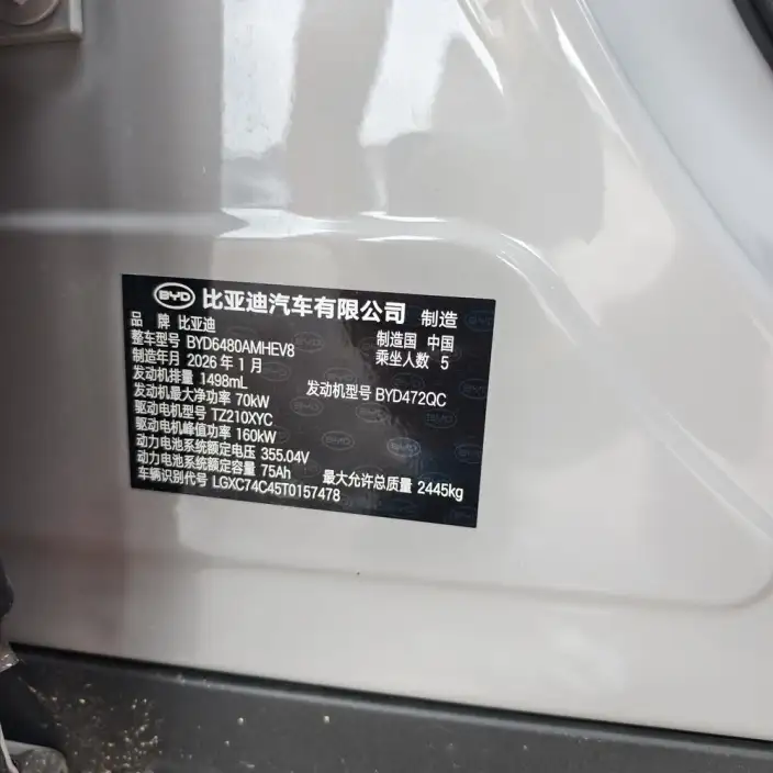Sea Lion 06DM 2025 Model DM-i 205KM Pilot Pro Edition – фото 10