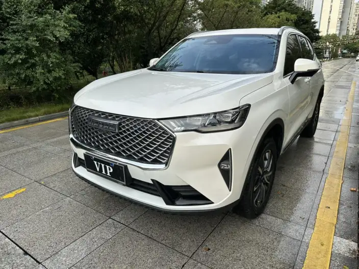 Haval H6 2024 Model 1.5T Automatic 2WD Pro Edition – фото 1