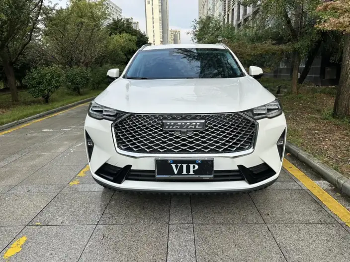 Haval H6 2024 Model 1.5T Automatic 2WD Pro Edition – фото 2