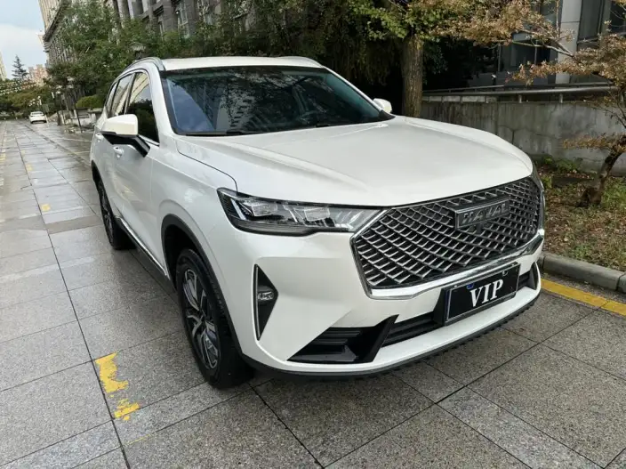 Haval H6 2024 Model 1.5T Automatic 2WD Pro Edition – фото 3