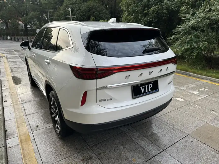 Haval H6 2024 Model 1.5T Automatic 2WD Pro Edition – фото 4