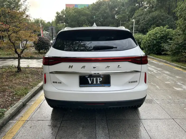 Haval H6 2024 Model 1.5T Automatic 2WD Pro Edition – фото 5