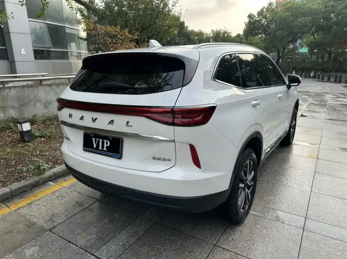 Haval H6 2024 Model 1.5T Automatic 2WD Pro Edition – фото 6