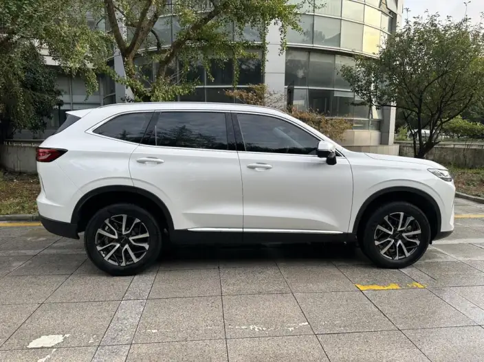 Haval H6 2024 Model 1.5T Automatic 2WD Pro Edition – фото 7