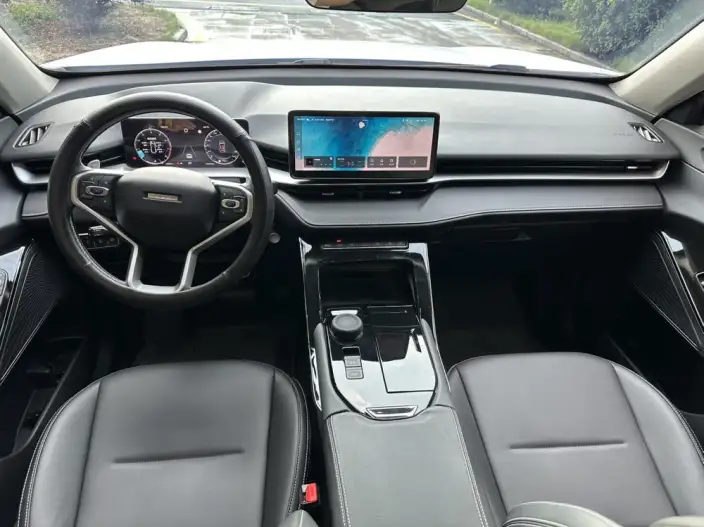 Haval H6 2024 Model 1.5T Automatic 2WD Pro Edition – фото 9