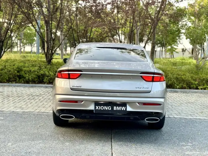 Geely StarRui 2021 Model 2.0T Noble Model – фото 5