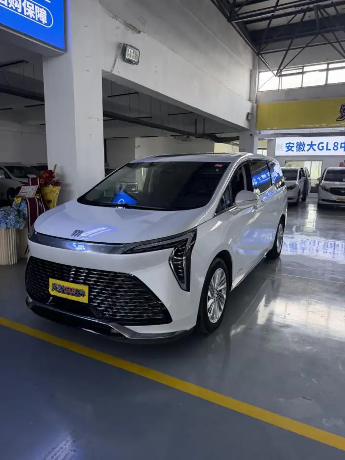 Century 2023 Model 2.0T VI seat Yunshi Edition – фото 1