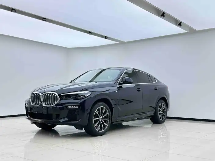 BMW X6 2021 Model xDrive30i M Sports Set – фото 1
